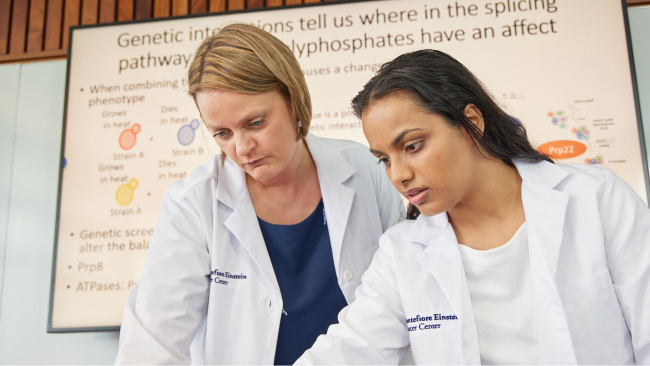 Two scientists do lab work together.